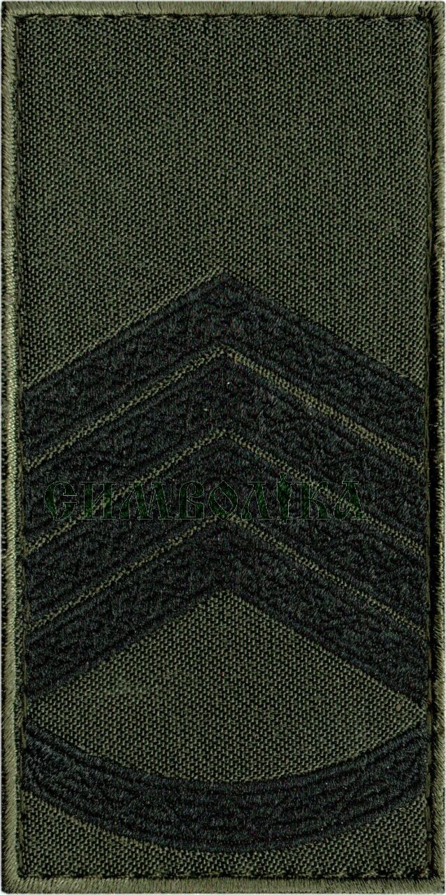 Погон НГ Головний сержант /тк.олива/ 10*5см !