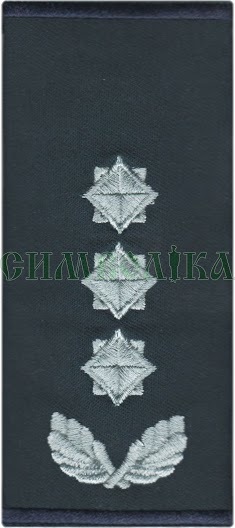 Погон ДСНС Полковник/ сірі /липучка - 9х5 см / муфта - 10х5 см !