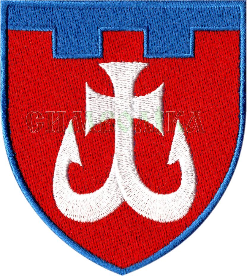 120 окрема бригада ТрО (Вінницька обл) / кол / нарукавна емблема !