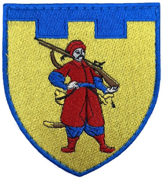 110 окрема бригада ТрО (Запорізька обл) / кол / нарукавна емблема !