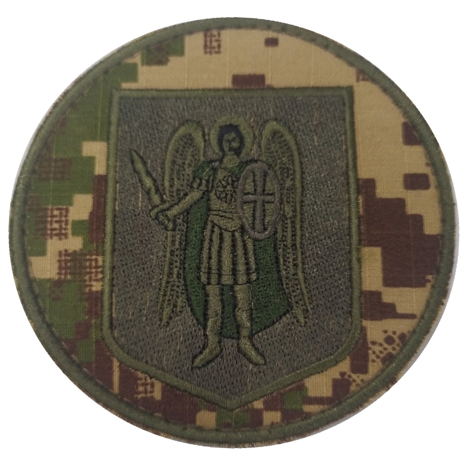 НГУ місто Київ\зах\тк.хижак(G0822)\нарукавна емблема