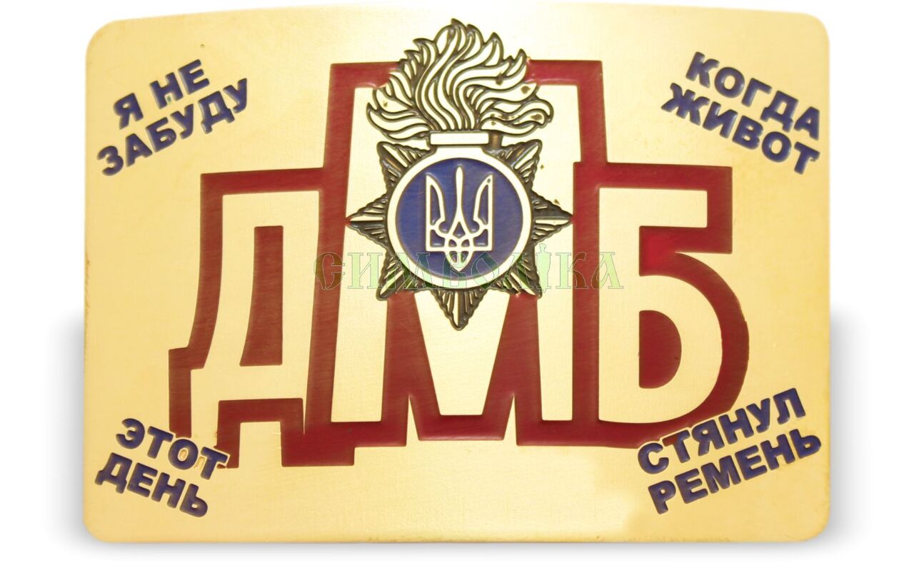 Пряжка ДМБ НГУ кольорова