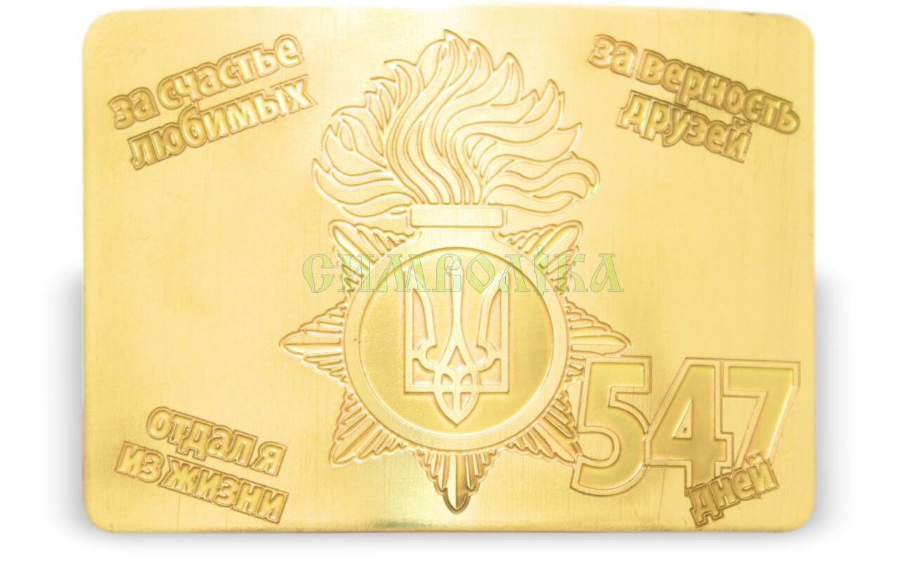 Пряжка ДМБ НГУ 547 днів золота