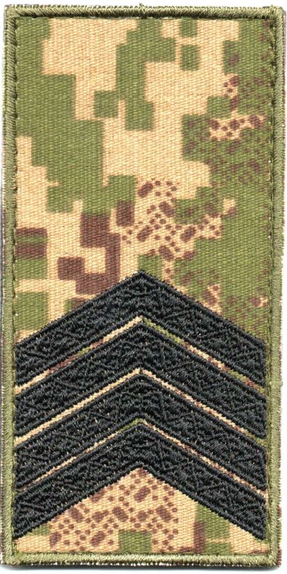 Погон НГ Старший Сержант\тк.хижак(G0822)\10*5см !