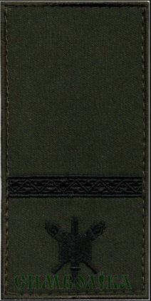 Погон ЗСУ Старший Ліцеїст(Молодший віце-сержант) /тк.олива/ 10х5см !