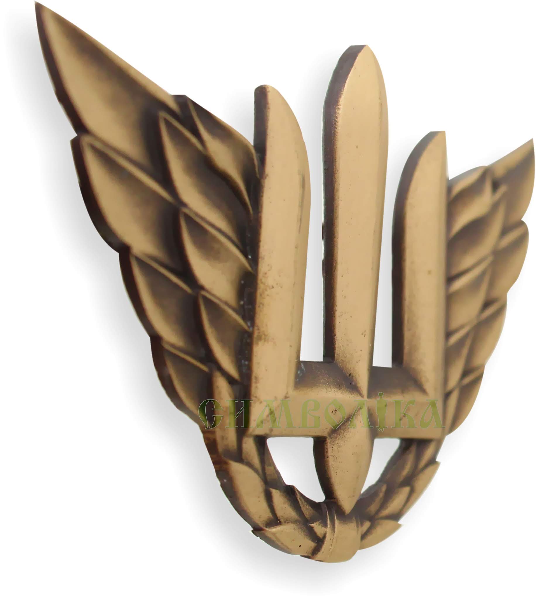 Беретний знак Повітряних сил