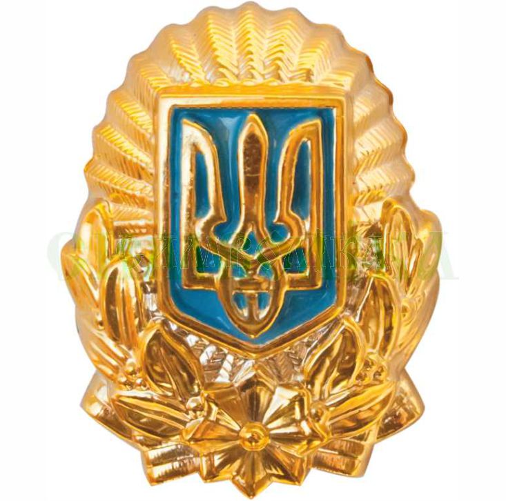 Беретні знаки, Кокарди