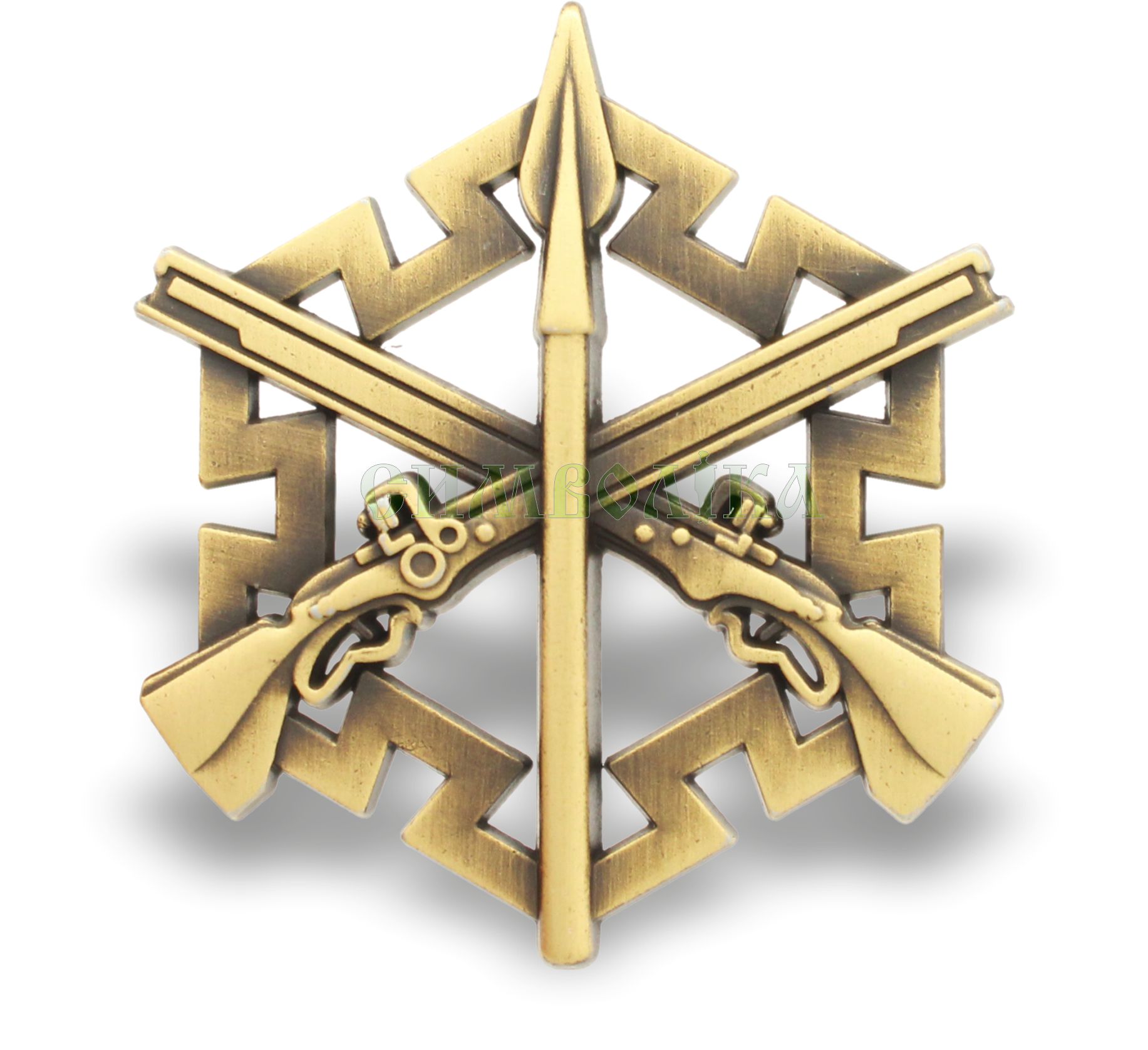 Беретний знак Територіальна Оборона Україна