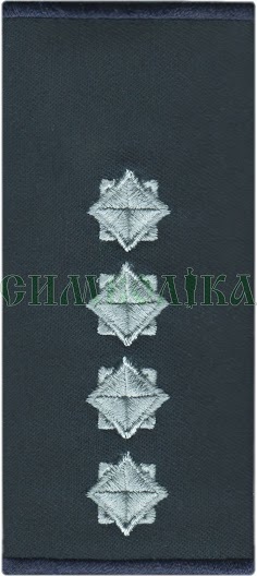Погони-муфти ДСНС Капітан /сірі /липучка - 9х5 см / муфта - 10х5 см !