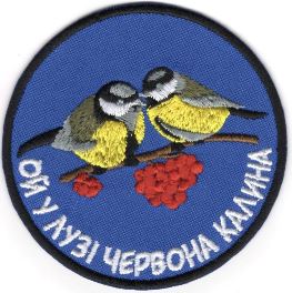 Ой У Лузі Червона Калина \ кол \ тк.синя \ нарукавна емблема !