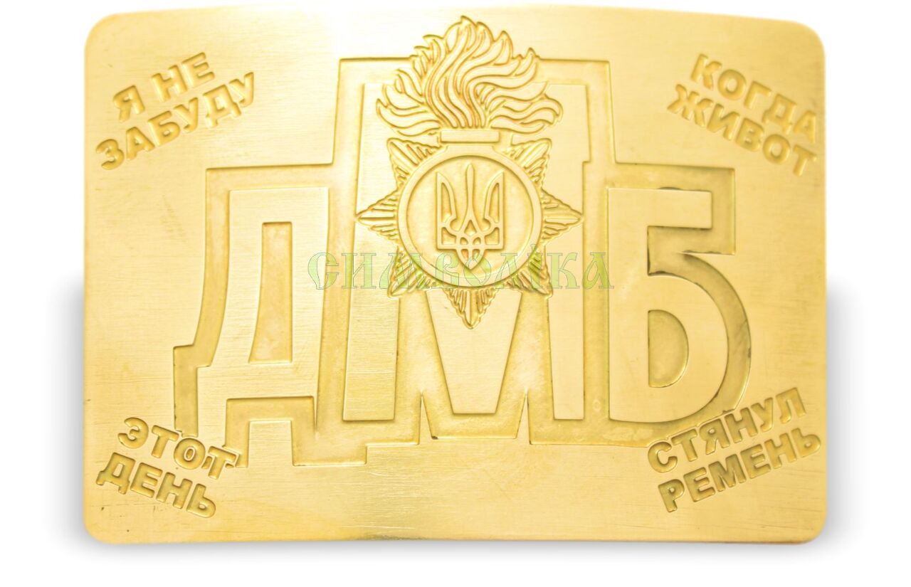 Пряжка ДМБ НГУ золота