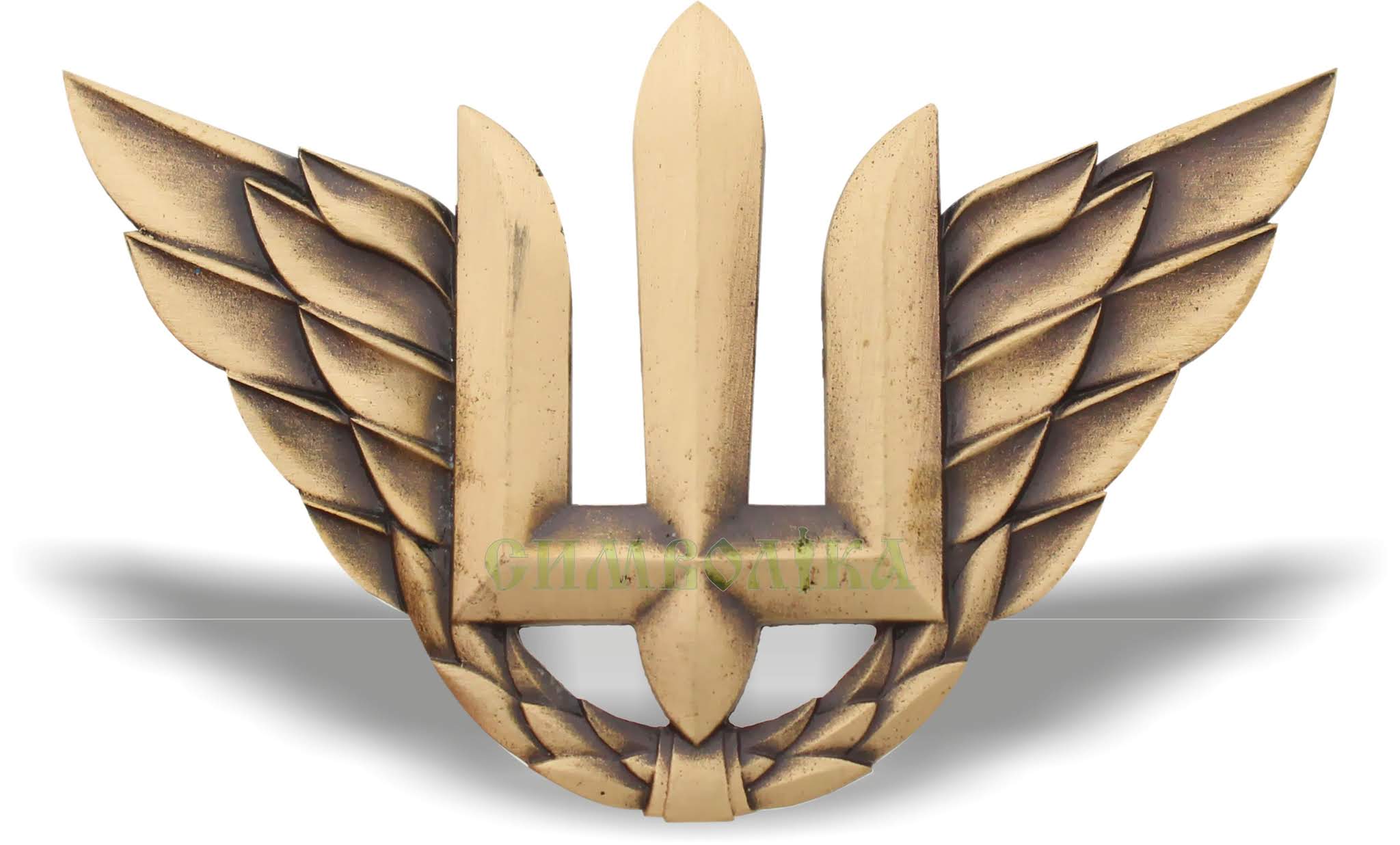 Беретний знак Повітряних сил